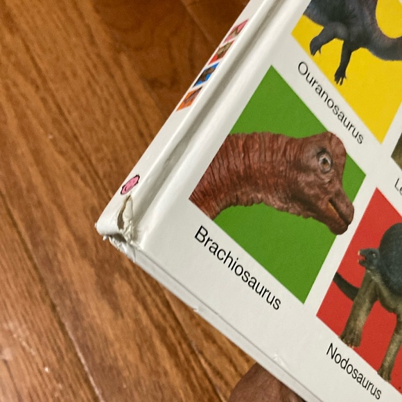 For the love of  DINOSAURS - Dino Figurine, Big Book & Floor Puzzle (48 pieces) - Picture 14 of 16